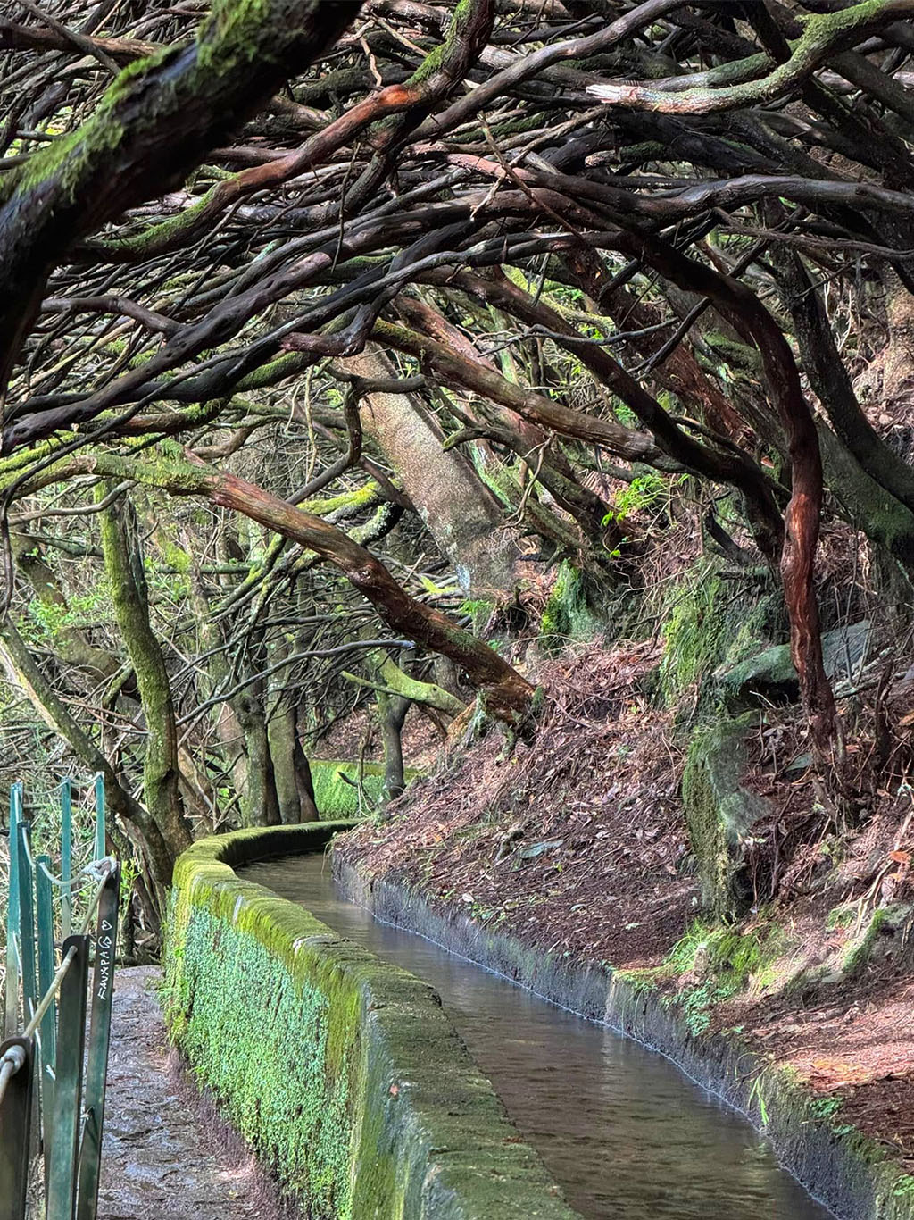 Levada das 25 Fontes patří k nejnavštěvovanějším levádám na Madeiře