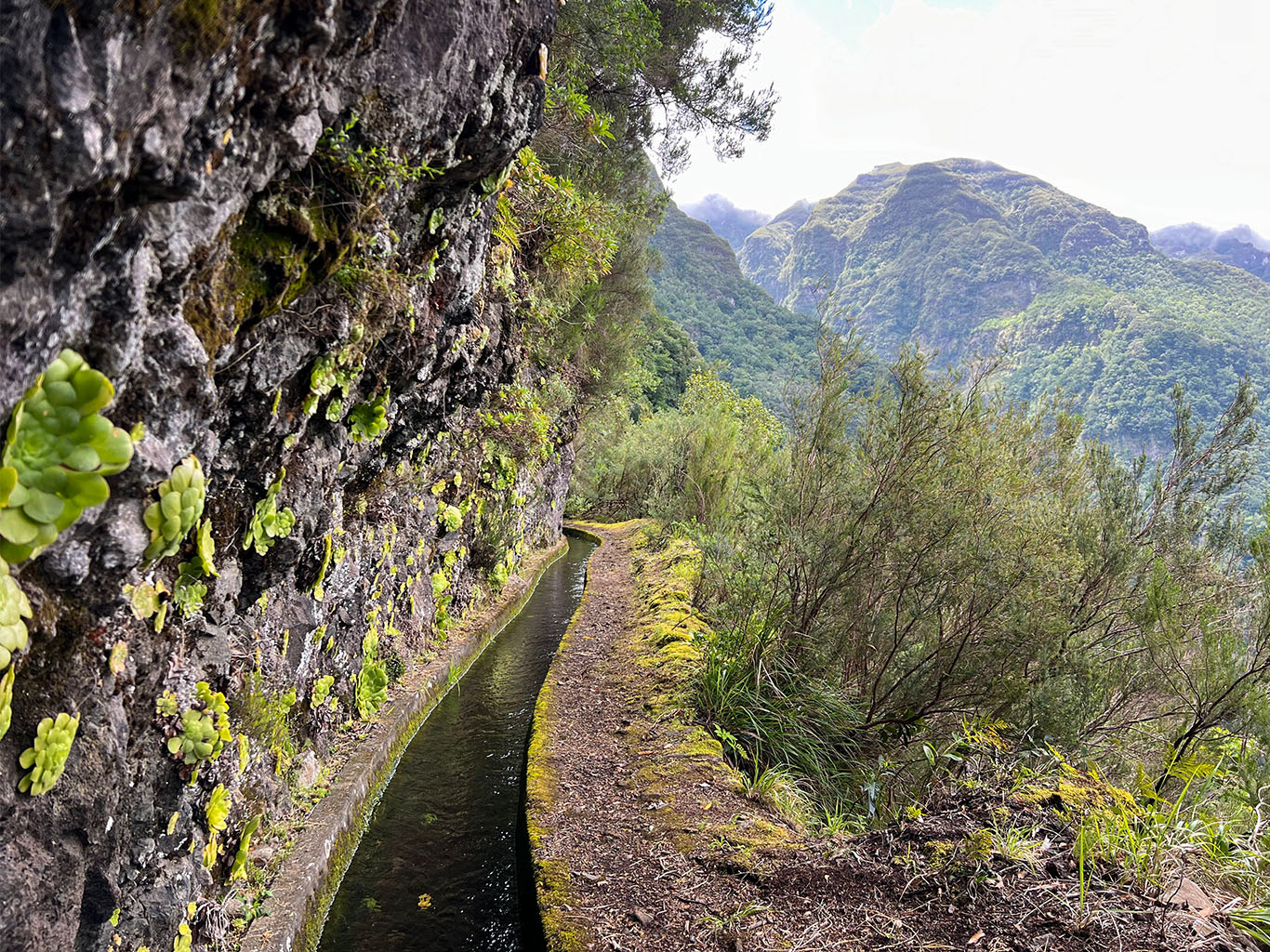 Leváda dos Tornos na severní části ostrova