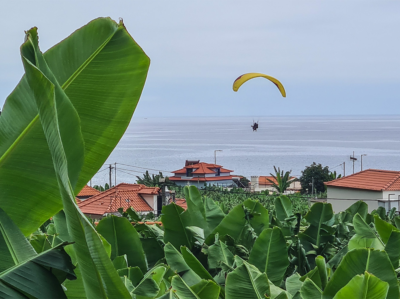 Paragliding nad banánovou plantáží ve vesnici Madalena do Mar