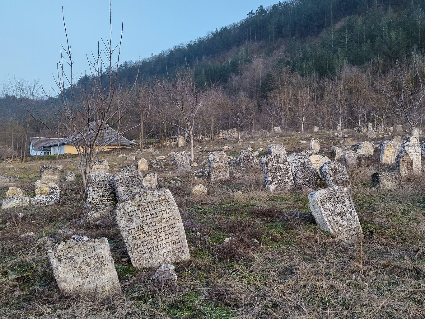 Židovský hřbitov v Raškově