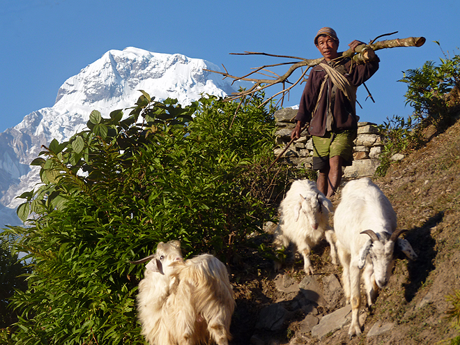 Na nepálském venkově