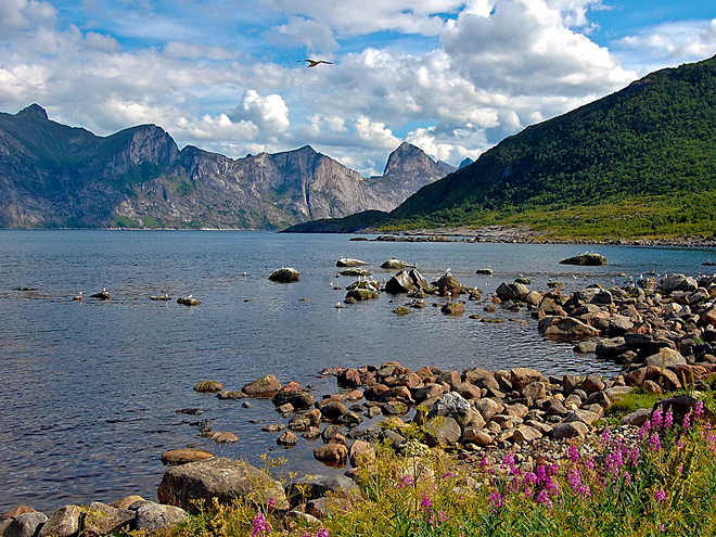 Ostrov Senja lemují úzké fjordy s rozeklanými horskými štíty