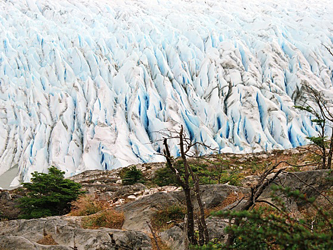 Ledovec Glaciar Grey v Torres del Paine