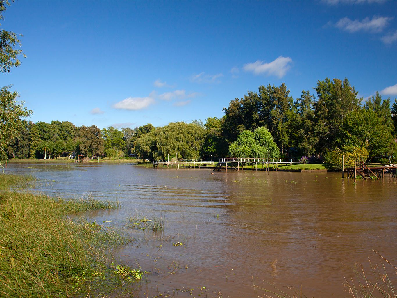 Delta řeky Paraná