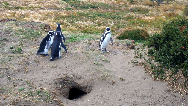 Přírodní rezervace Seno Otway