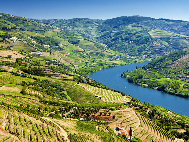 Portské víno se vyrábí z hroznů pěstovaných v údolí řeky Douro