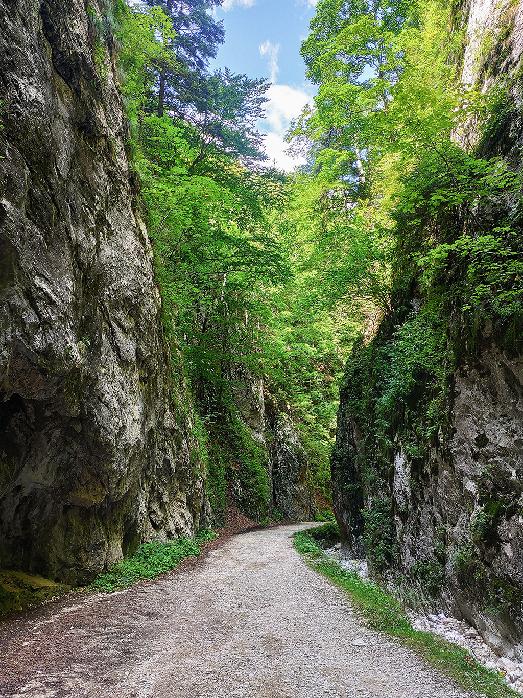 Soutěska Prăpăstiile Zărneștilor v pohoří Piatra Craiului se táhne v délce 5 km