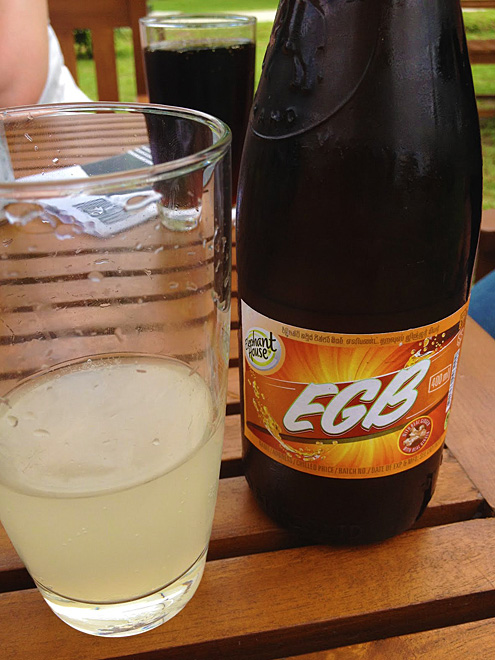 Zázvorová limonáda (ginger beer) je na Srí Lance oblíbeným nápojem