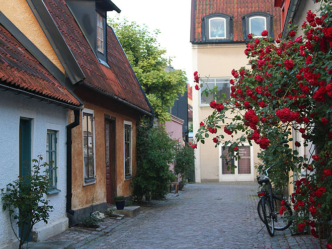 Gotlandské růže ve Visby