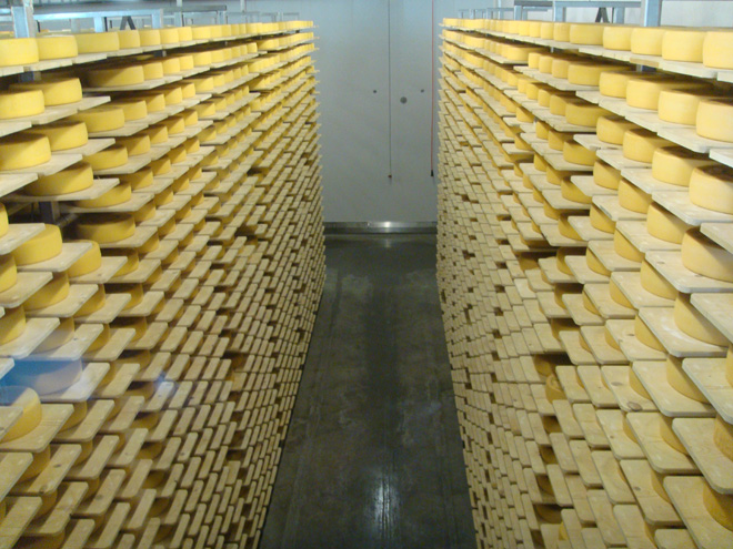 Tvrdý sýr Gruyère zraje 3-25 měsíců a má bohatou chuť