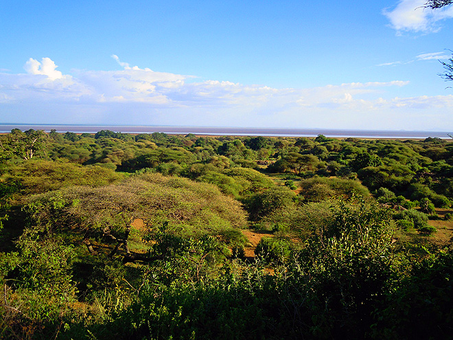 NP Lake Manyara