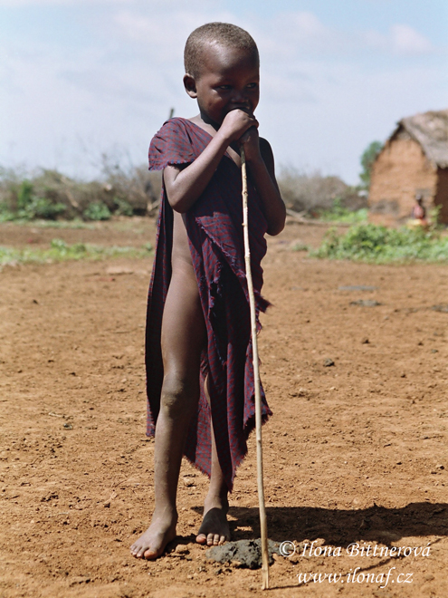 Mladý pasák dobytka z Masai Step