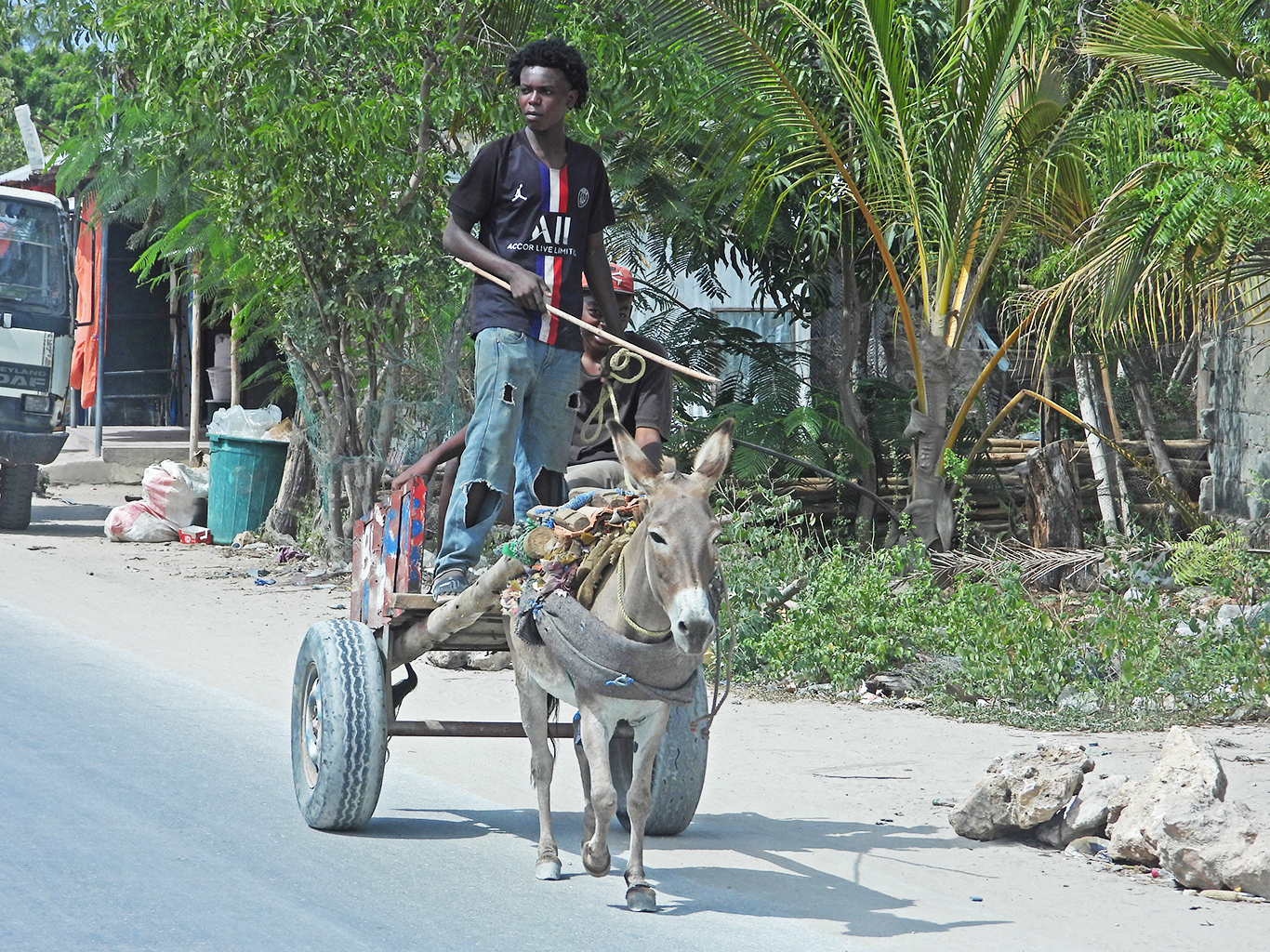 Občas můžete na Zanzibaru potkat na silnici netradičního účastníka provozu