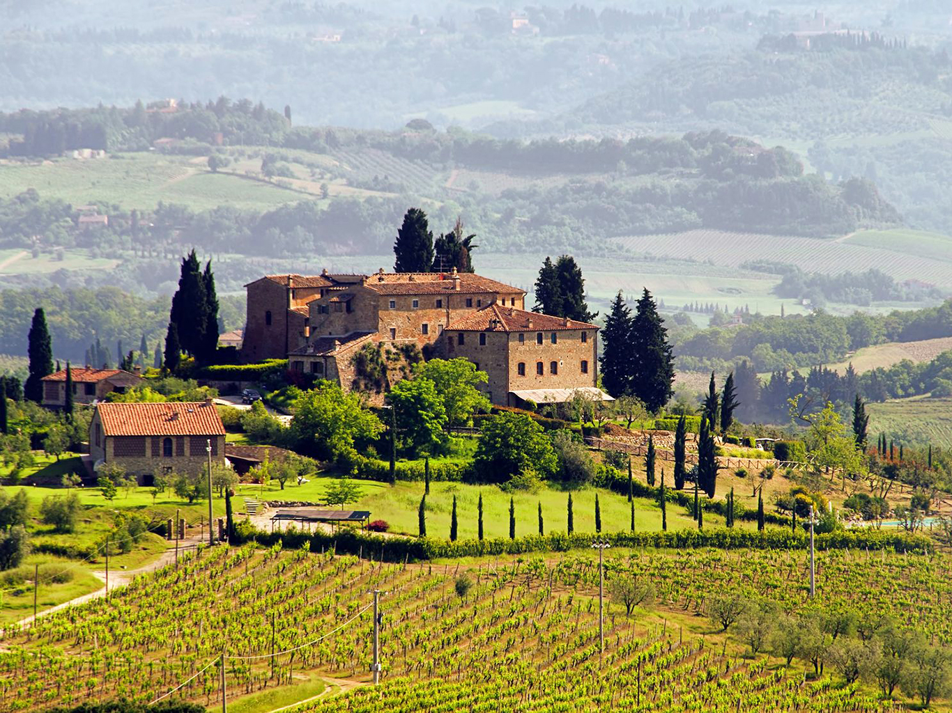 Kraj Chianti charakterizují široké pásy vinic