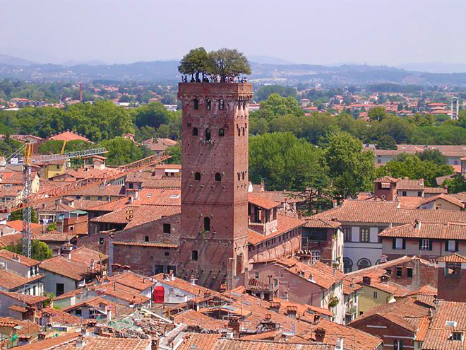 Opevněná věž Torre Guinigi je porostlá až do výšky 44 m cesmínovým dubem