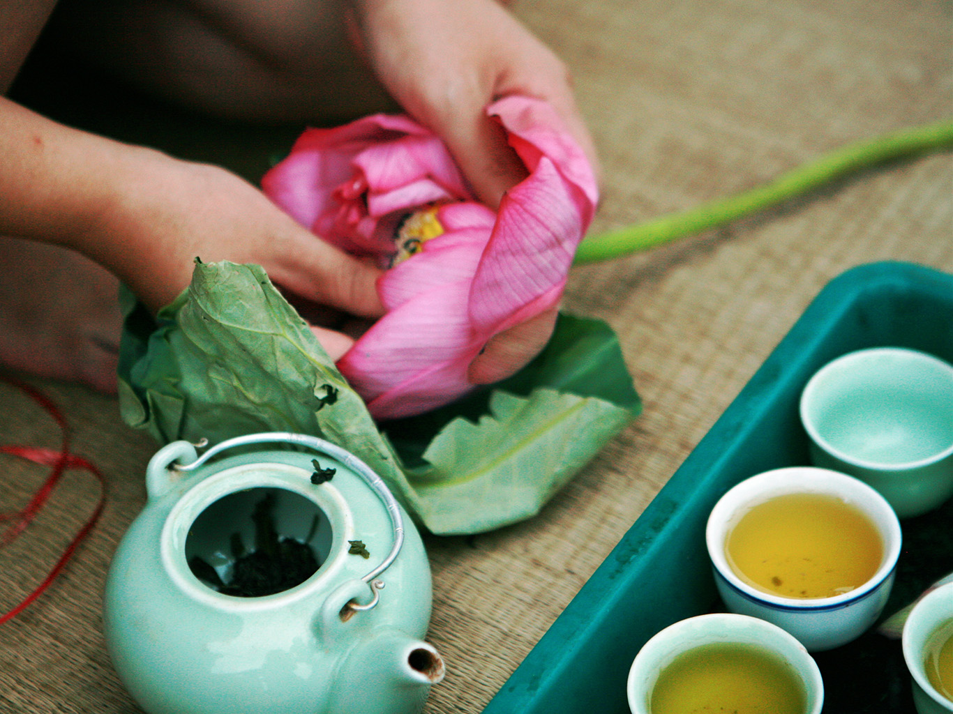 Lotosový čaj se podává při speciálních příležitostech