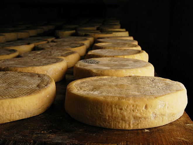 Bochníky alsaského sýra Munster
