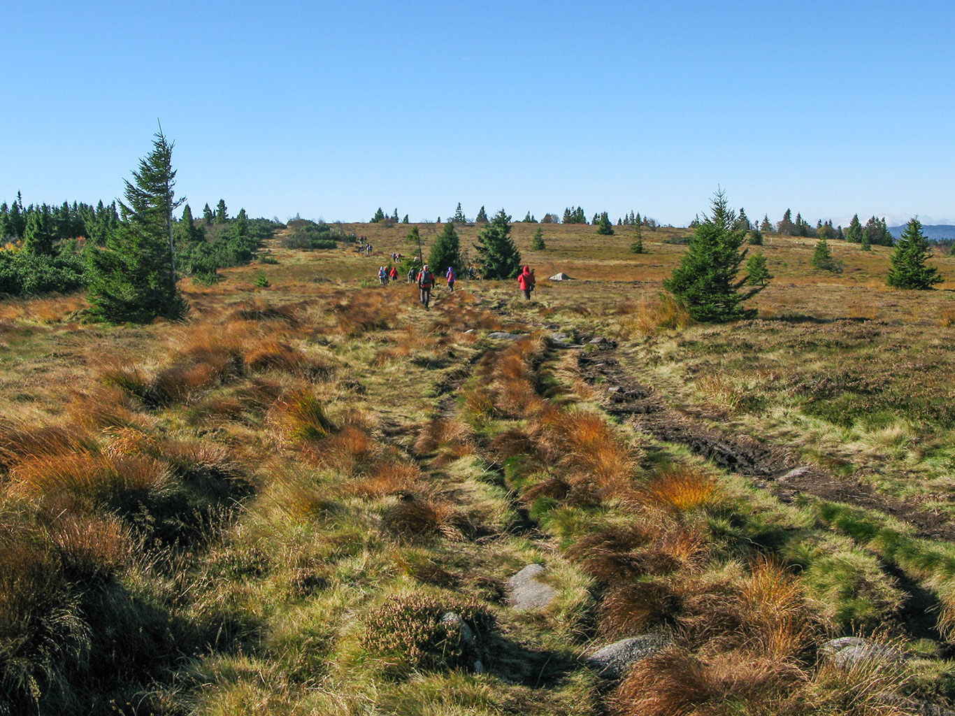 Trocha rašeliniště na túře kolem jezer Lac Blanc a Lac Noir 
