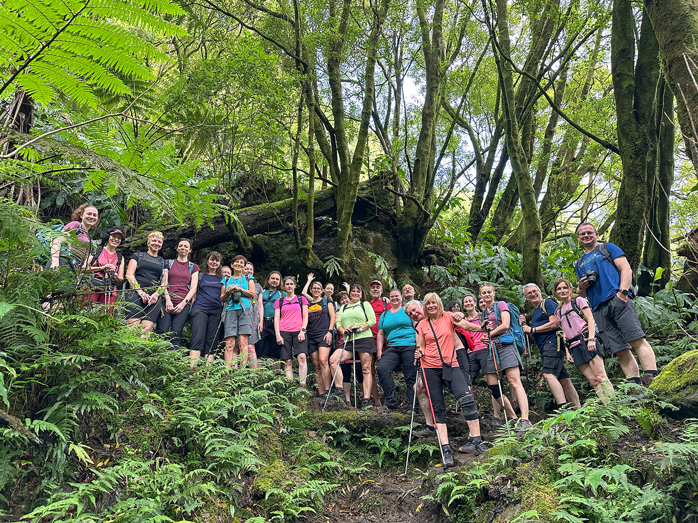 Túra tajuplným azorským lesem až na vrchol Pico do Ferro
