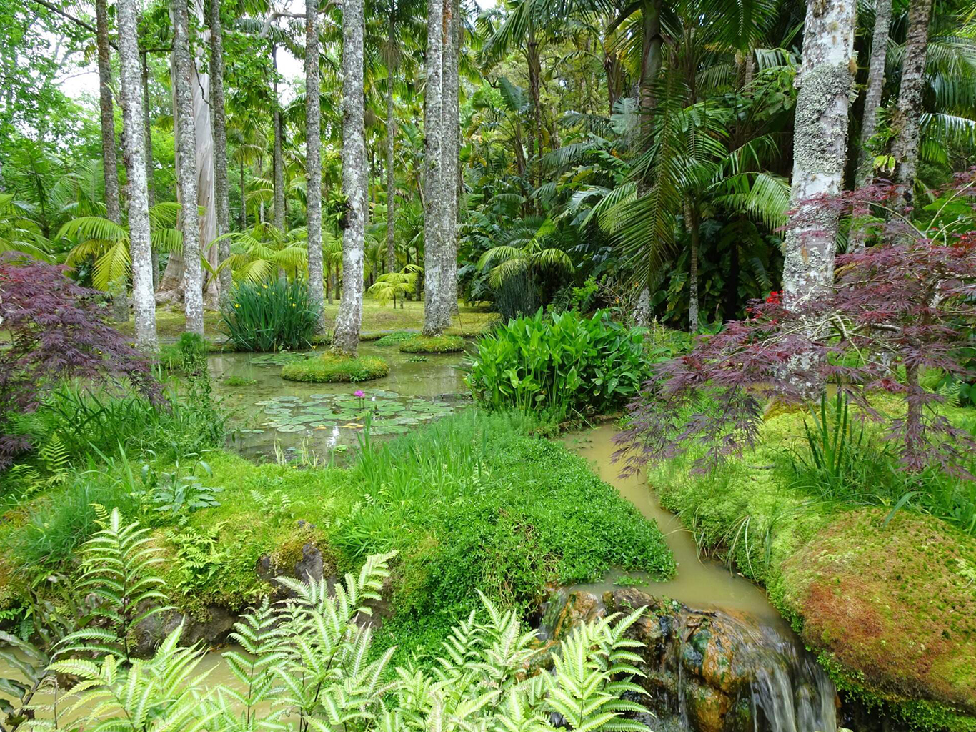 Botanická zahrada Terra Nostra s bohatou exotickou vegetací