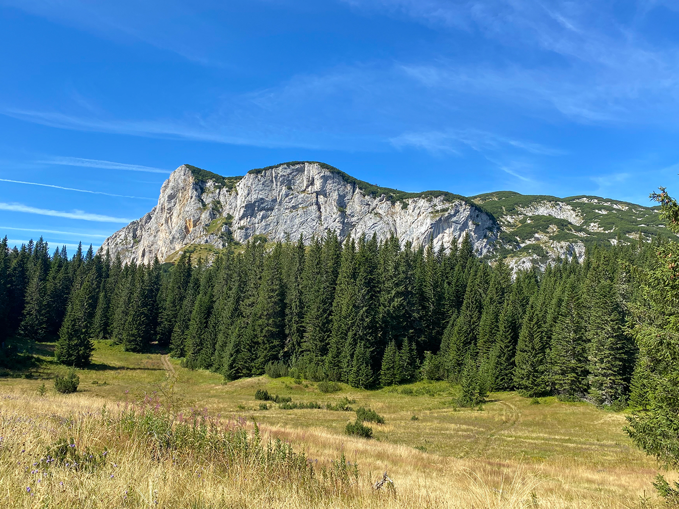 Stolová hora Crvena Greda vyčnívá nad hustými lesy Durmitoru