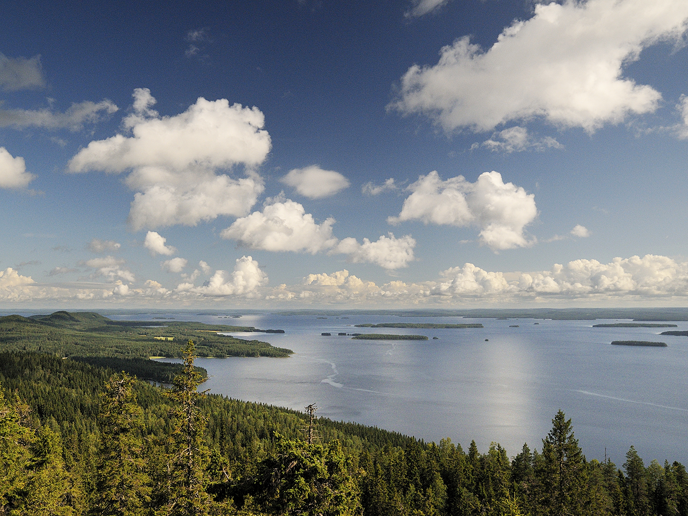 Nekonečná vodní plocha jezera Pielinen a okolní lesy národního parku Koli