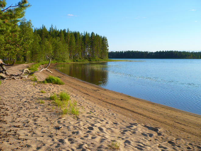 Břehy jezera Suomunjärvi v národním parku Patvinsuo jsou ideální ke koupání