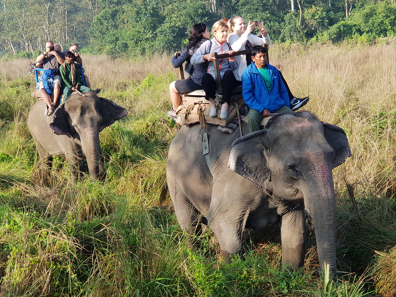 Netradičním zážitkem je pro mnohé určitě ranní vyjížďka na slonech