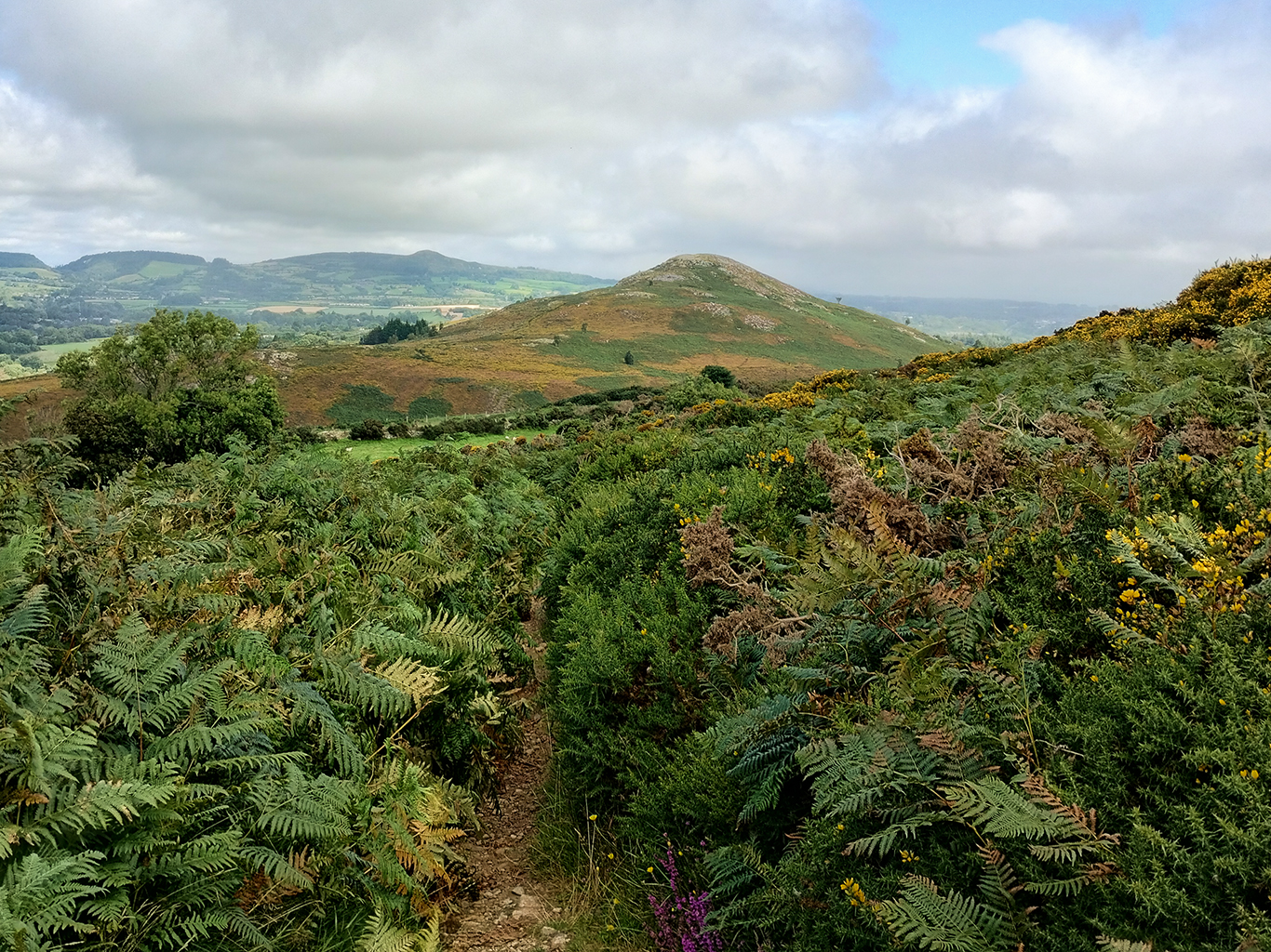 Túra zelenou krajinou národního parku Wicklow Mountains