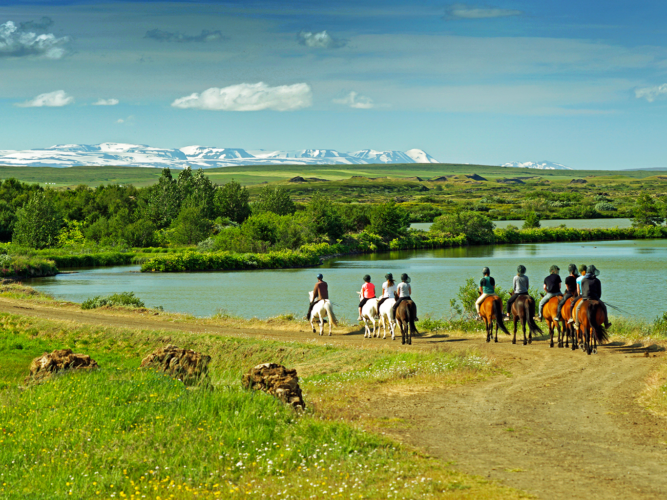 Smělejší zájemci se na Islandu mohou projet i na koních