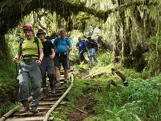 Zpáteční cesta z vrcholu Mt. Meru vede pralesem s bujnou vegetací