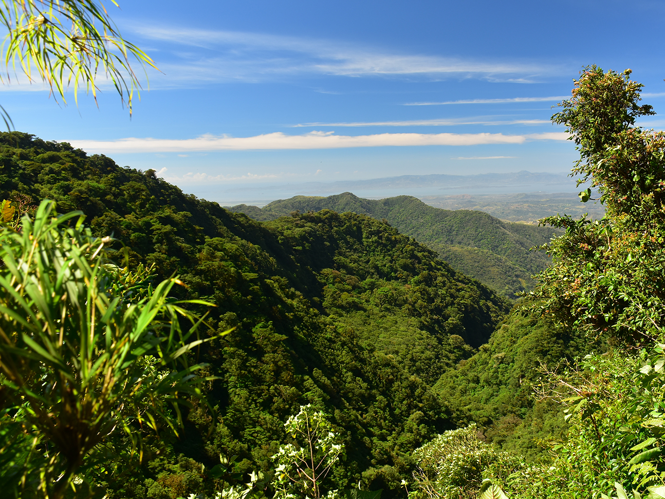 Kostarické deštné pralesy jsou nesmírně bohatým ekosystémem 