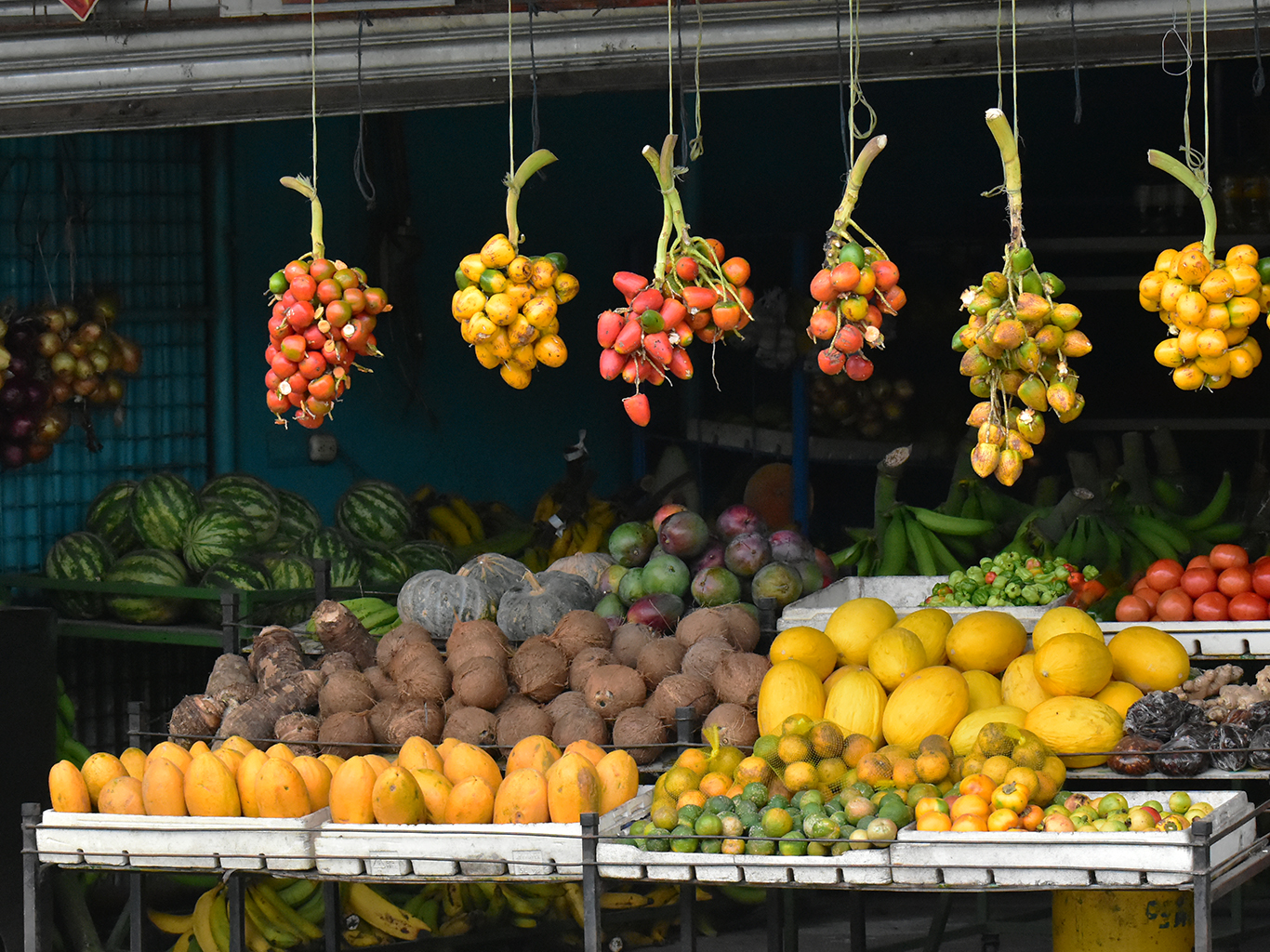 Exotické, barevné a lahodné – takové je kostarické ovoce