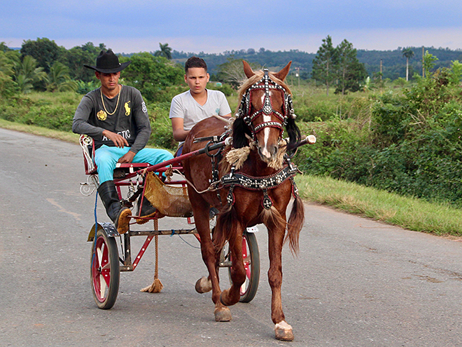 Koňský povoz je na Kubě stále hojně využívaný dopravní prostředek