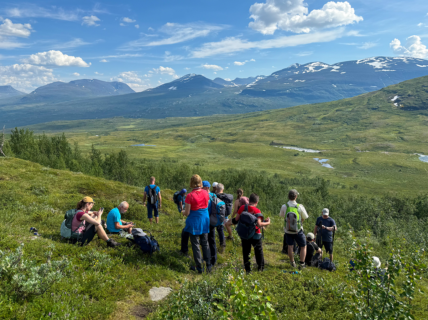 Národní park Abisko tvoří především březové pralesy a lesní mokřady
