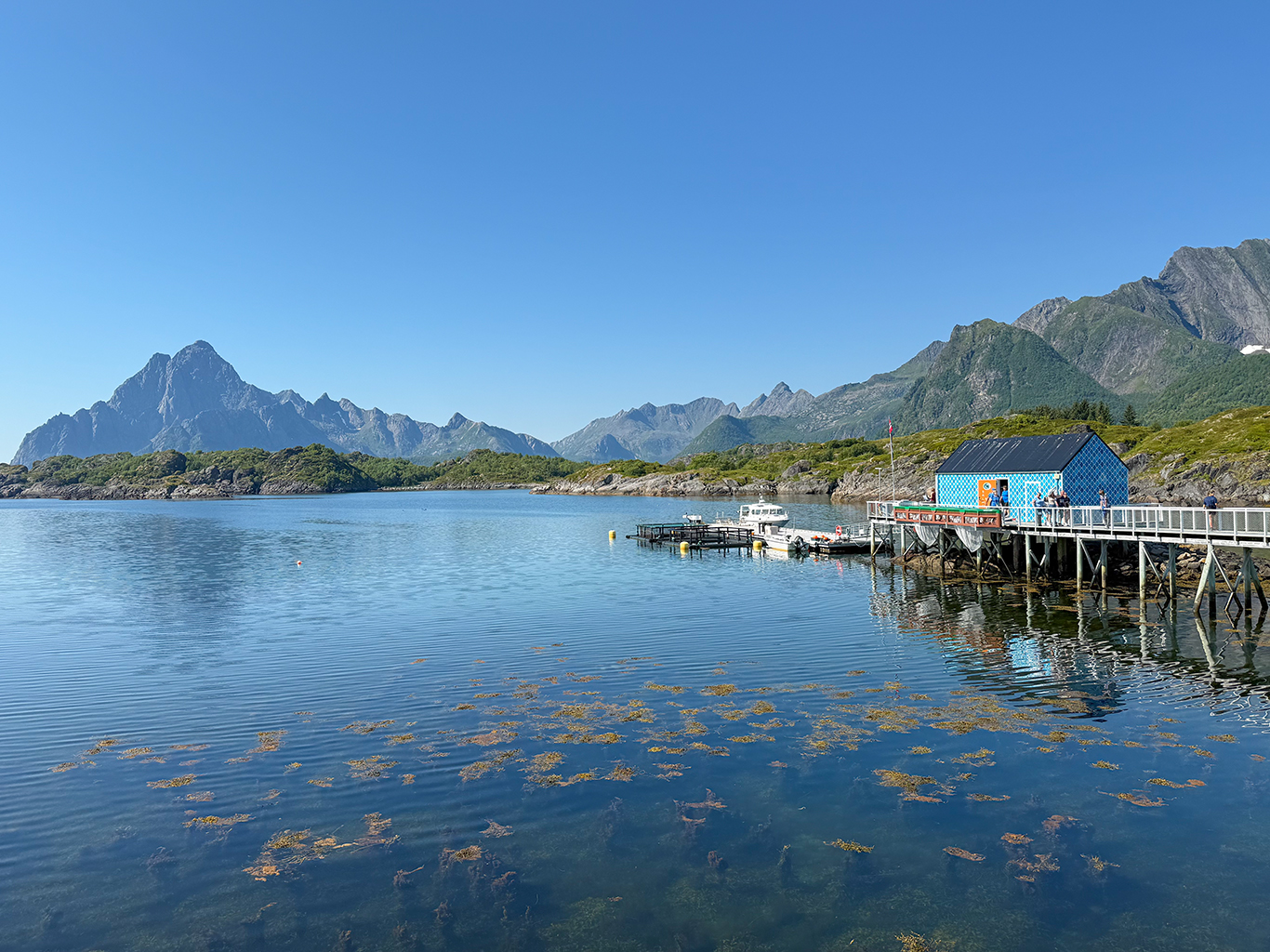 V akváriu Lofotakvariet v Kabelvågu spatříte tuleně i krásné výhledy