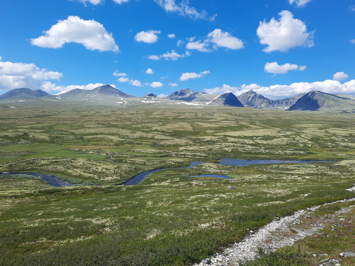 Klikatící se meandr jedné z řek národního parku Rondane