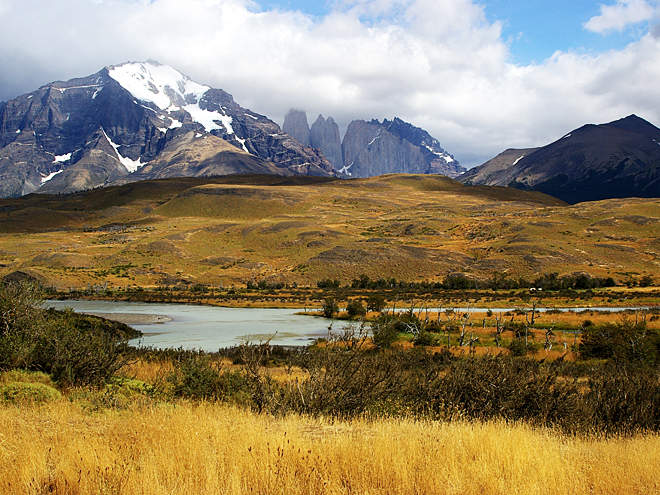Nižší partie patagonské krajiny pokrývá zlatá pampa
