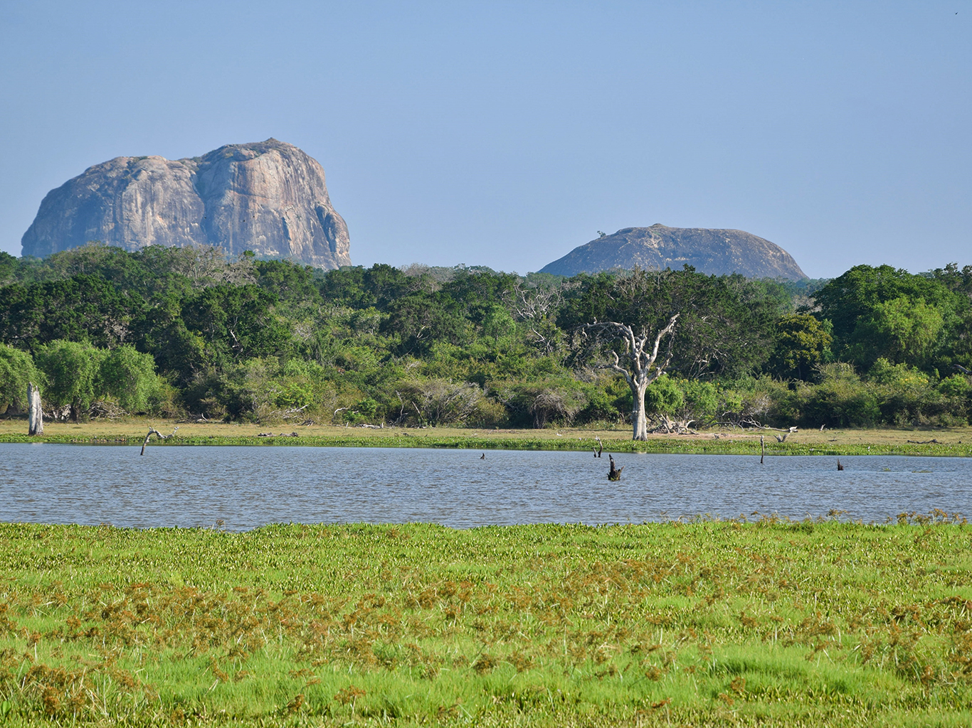 Ekosystém NP Yala zahrnuje monzunový les, křoviny, pastviny a vodní plochy