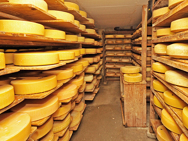 Švýcarský sýr Emmentaler se vyrábí ve formě kol s průměrem až 1 m