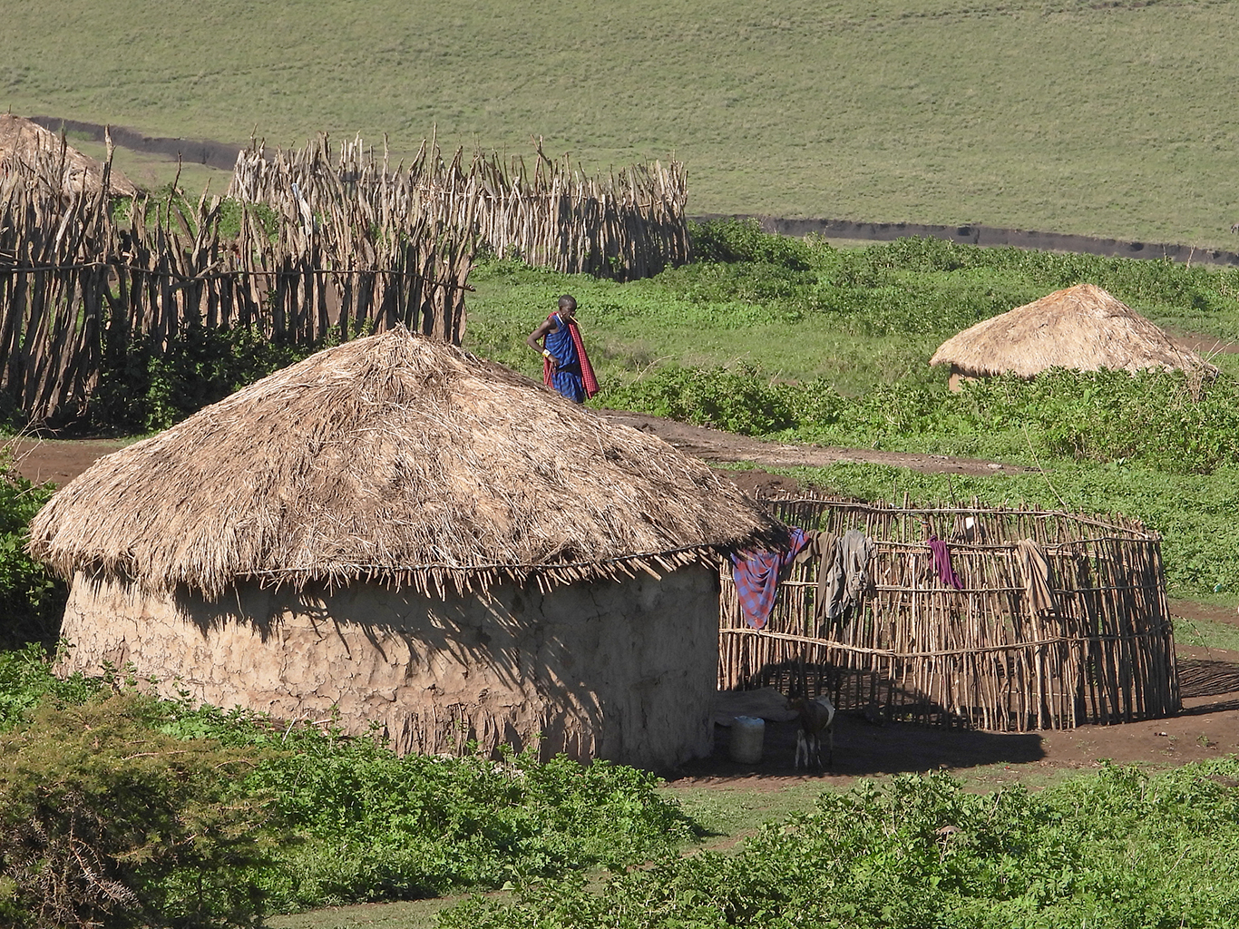 Tradiční masajské obydlí uplácané z hlíny má kruhovitý tvar