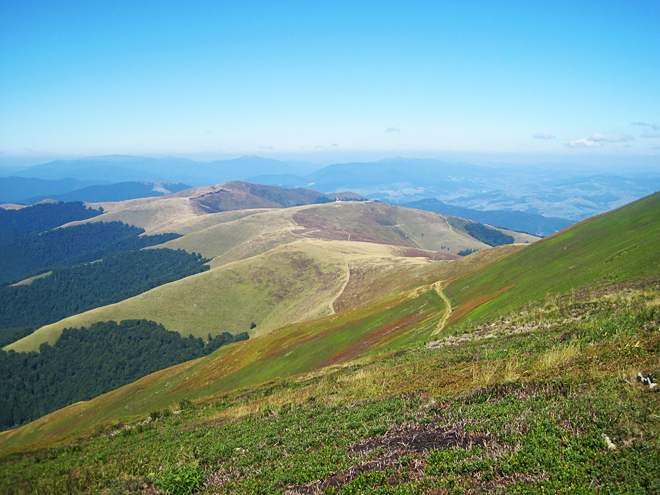 Polonina Boržava, to jsou rozlehlé pastviny na vrcholech hor