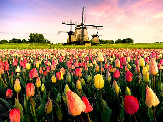 Poznávací zájezd Benelux (Holandsko a Belgie) | CK Mundo