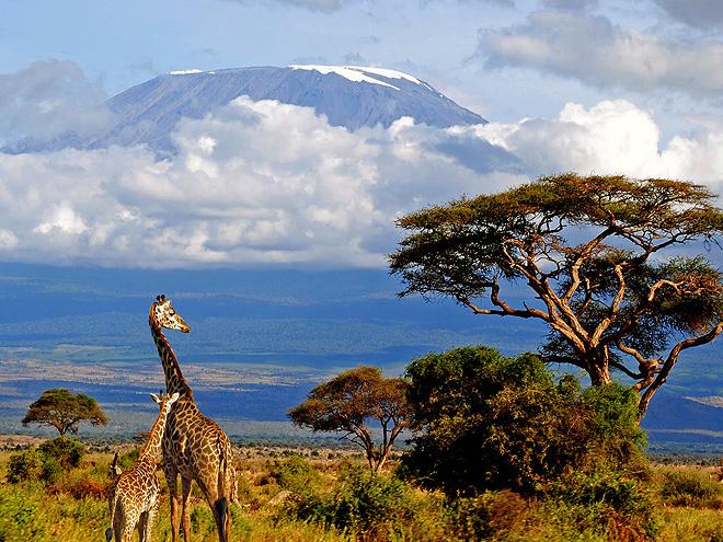 Zájezd Kilimandžáro a Mt. Meru
