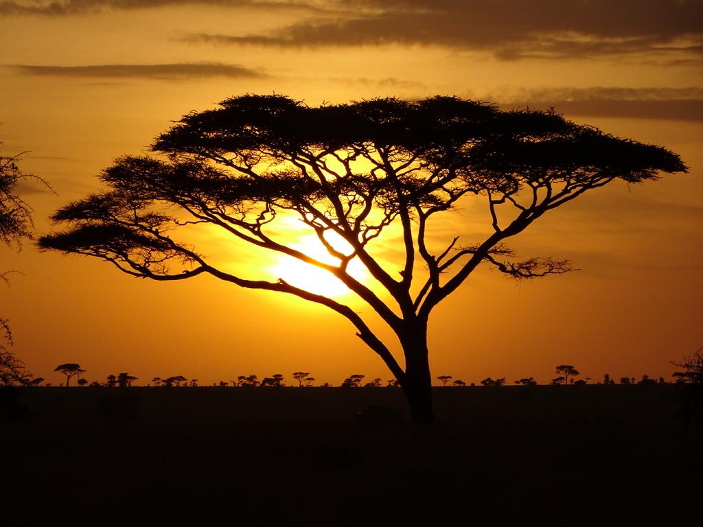Zájezd Tanzanie (safari a Zanzibar)