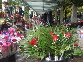 Na mezinárodní den žen zaplaví náměstí Nezávislosti v Podgorice květiny