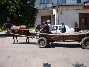 Místní obyvatelé na koňském povozu