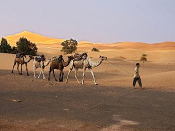 Sahara – duna Erg Chebbi