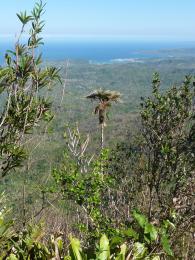 Pohled z vrcholu stolové hory El Yunque