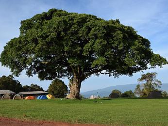 Kemp u kráteru Ngorongoro